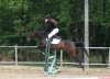 Filename=1~43.jpg
Filesize=336KB
Dimensions=837x608
Date added=May 26, 2008 1~43.jpg