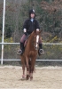 Filename=10~4.jpg
Filesize=311KB
Dimensions=460x650
Date added=Mar 10, 2008 10~4.jpg
