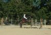 Filename=2~0.jpg
Filesize=389KB
Dimensions=1508x1060
Date added=Nov 04, 2007 2~0.jpg