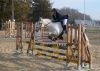 Filename=3~2.jpg
Filesize=736KB
Dimensions=1832x1301
Date added=Nov 19, 2007 3~2.jpg