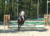 Filename=4~0.jpg
Filesize=545KB
Dimensions=1786x1302
Date added=Nov 04, 2007 4~0.jpg