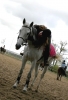 Filename=4~17.jpg
Filesize=541KB
Dimensions=771x1128
Date added=Mar 17, 2008 4~17.jpg
