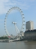Filename=4~8.jpg
Filesize=270KB
Dimensions=525x700
Date added=Feb 16, 2008 4~8.jpg