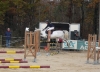 Filename=5bis.jpg
Filesize=402KB
Dimensions=1386x1000
Date added=Dec 30, 2007 5bis.jpg