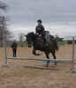 Filename=8~9.jpg
Filesize=269KB
Dimensions=517x600
Date added=Mar 10, 2008 8~9.jpg