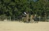 Filename=E1_2tag.jpg
Filesize=408KB
Dimensions=1562x1000
Date added=Nov 04, 2007 E1_2tag.jpg