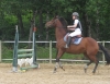 Filename=Houkie.jpg
Filesize=354KB
Dimensions=700x540
Date added=May 26, 2008 Houkie.jpg
