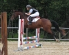 Filename=Houkie2.jpg
Filesize=375KB
Dimensions=700x557
Date added=Jun 15, 2008 Houkie2.jpg