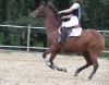 Filename=Houkie6.jpg
Filesize=333KB
Dimensions=700x549
Date added=Jun 15, 2008 Houkie6.jpg