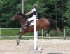Filename=Houkie7.jpg
Filesize=390KB
Dimensions=700x539
Date added=Jun 15, 2008 Houkie7.jpg
