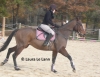 Filename=Pers3.jpg
Filesize=404KB
Dimensions=800x618
Date added=Feb 15, 2008 Pers3.jpg