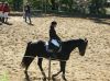Filename=paddock_tag.jpg
Filesize=428KB
Dimensions=1337x1000
Date added=Nov 04, 2007 paddock_tag.jpg